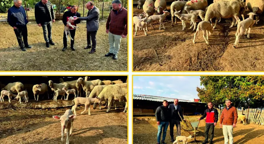 Edirne’de Genç Hayvancılık Üreticisine Destek Ziyareti