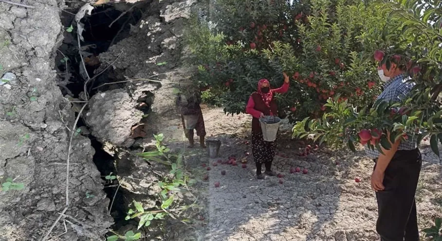 Eğirdir'de Elma Bahçesinde Dev Obruk! Evlerde Çatlaklar Oluştu