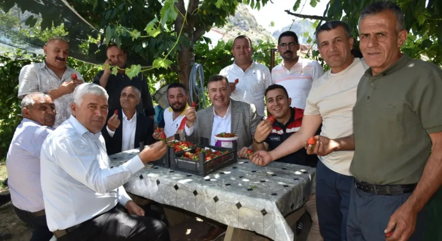 Eğirdir'de Topraksız Tarım Devrimi: İlk Çilekler Hasat Edildi!