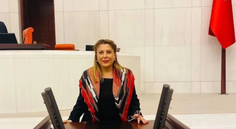 Elvan Işık Gezmiş'ten Giresun Çıkışı: Fındık ve Havaalanı Sorunları Meclis'te!