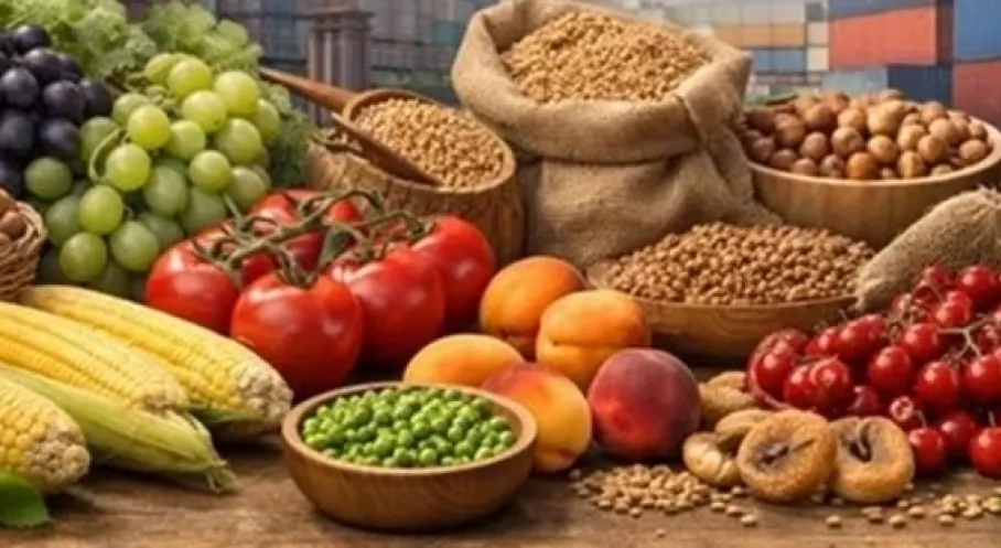 Tarihi İhracat Hamlesi: Türk Tarım Ürünleri Endonezya Pazarına Akacak! Engeller Kalktı