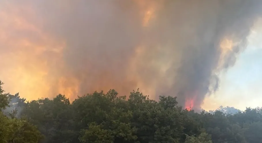 Eskişehir Seyitgazi'de Korkutan Orman Yangını! Son Durum