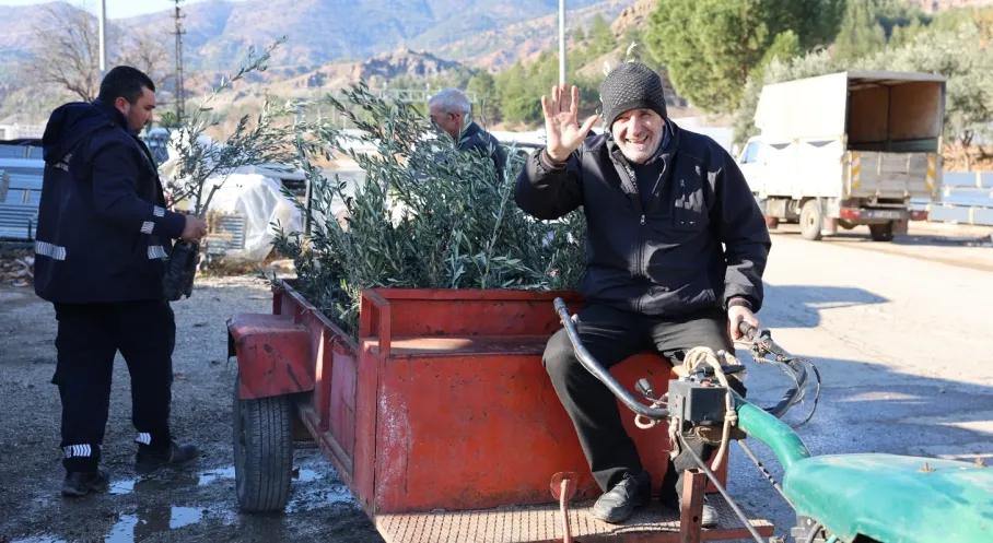 Eskişehir'de Zeytin Hasadı Başlıyor! Büyükşehir'den Çiftçiye Fidan Desteği