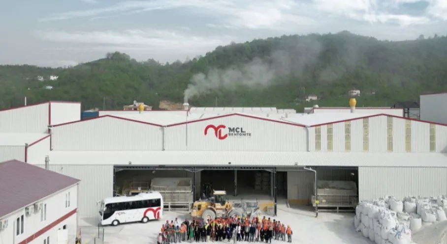 Fatsa'dan Avrupa'ya Kedi Kumu İhracatı: Türk Bentoniti Avrupa Raflarında!