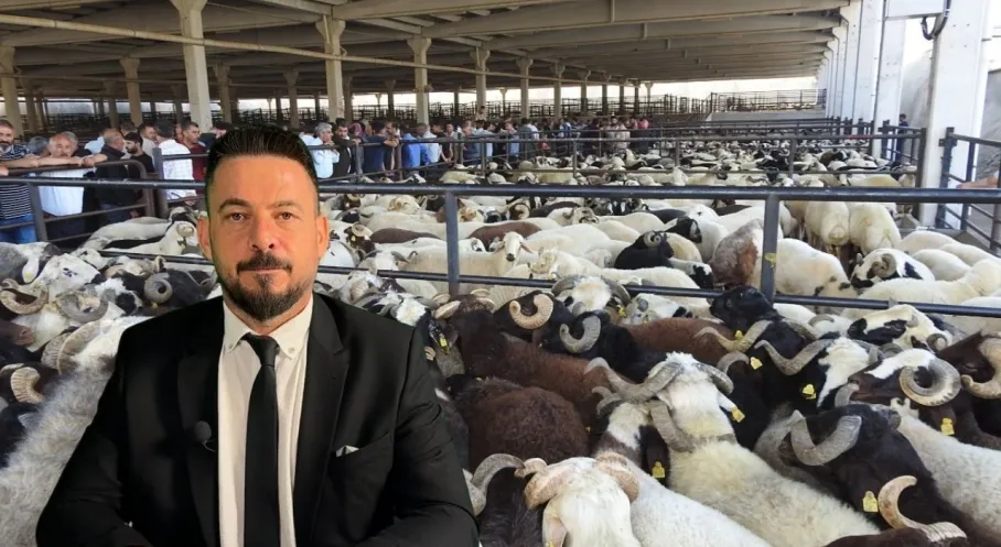 Ferit Akkurt'tan Kurbanlık Seçim Rehberi: Hijyenik Kesim Şart!