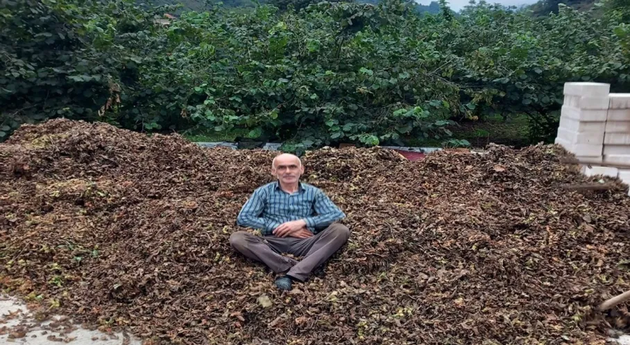 Fındık Fiyatları Çöküyor mu? Giresun Ziraat Odası'ndan Şok İddialar!