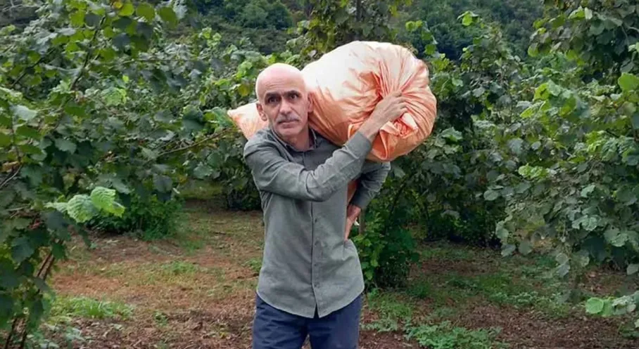 Fındık Fiyatları Rekor Kırıyor! Üreticiyi Sevindiren Haber