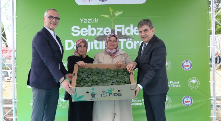 Gebze Tarımına Can Suyu! Kocaeli'den Çiftçilere 7 Milyon TL'lik 500 Bin Sebze Fidesi Desteği