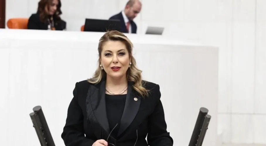 Giresun'da Dal-Çık Projesi Nereye Kayboldu? CHP'li Gezmiş'ten Bakanlığa Sert Tepki!