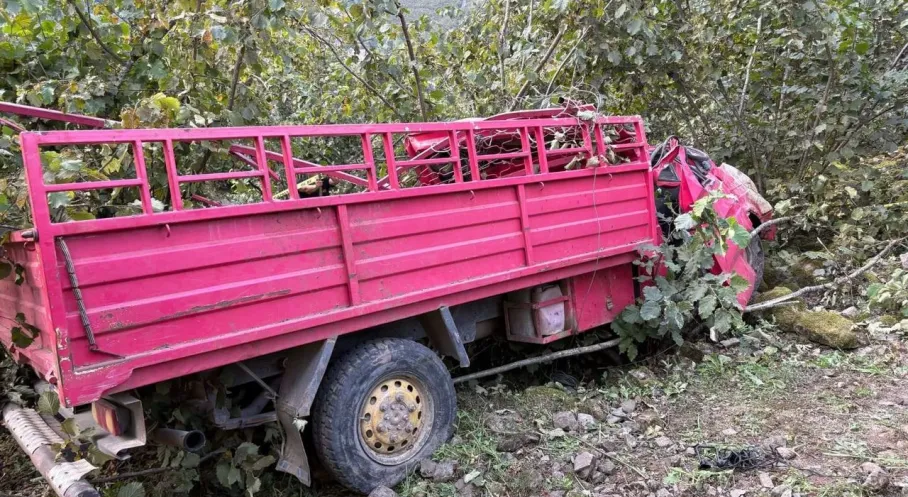 Giresun'da Feci Kaza: Kamyonet Dereye Uçtu, 4 Ölü!