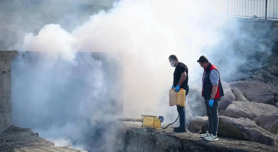 Giresun'da Sahil Şeridi Haşerelere Karşı İlaçlandı! Vatandaşlar Rahat Nefes Alacak