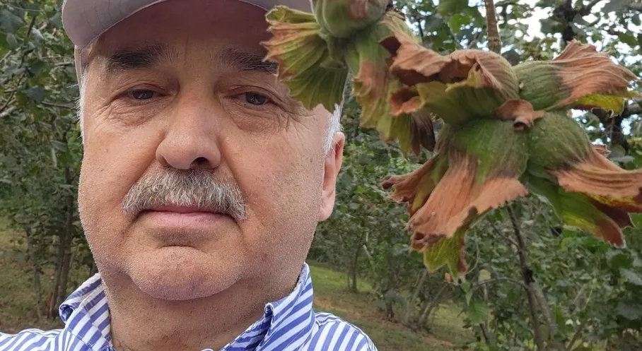 Giresun'dan Fındık Üreticisine Kritik Uyarı: Vekil Temür'den 'Emanete Vermeyin' Çağrısı!