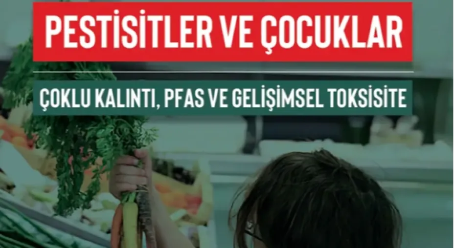 Greenpeace Alarm Veriyor: Yediklerimiz Zehir Saçıyor! Şok Rapor