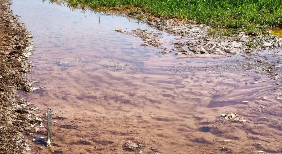 Güneydoğu'da Su Alarmı: Kaçak Sulama Enerji Krizini Tetikliyor!