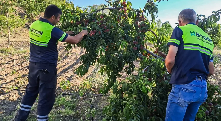 GÜRİŞ Holding'den Dev Sosyal Sorumluluk Hamlesi: 674 Proje!