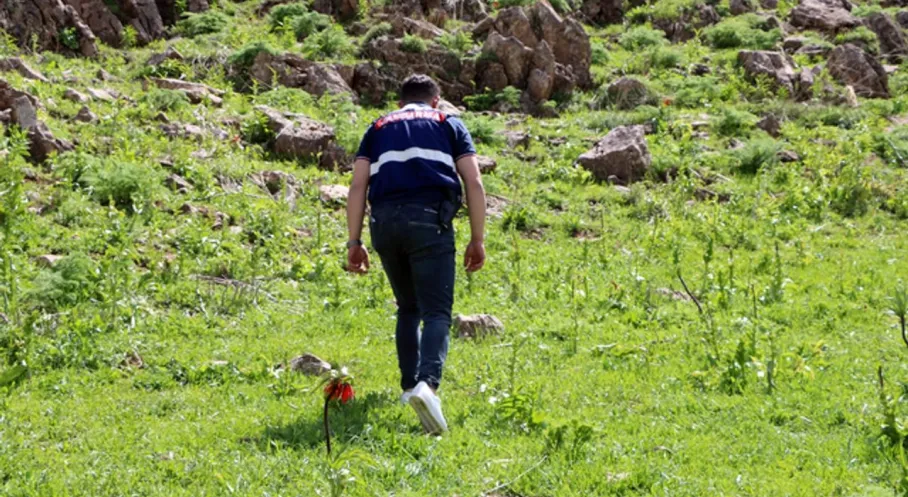 Hakkari'de Ters Laleler Jandarma Korumasında: Ağlayan Gelinler Göz Altında!
