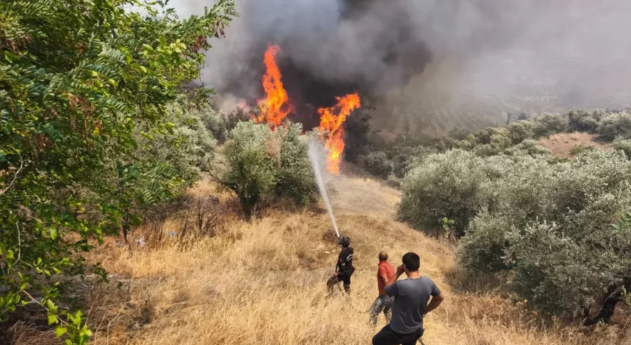 Hatay'da Orman Yangını Kontrol Altında! İşte Son Durum