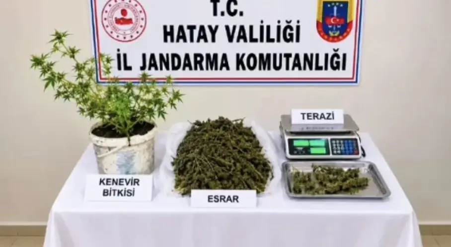 Hatay’da uyuşturucu operasyonu: 1 kişi tutuklandı