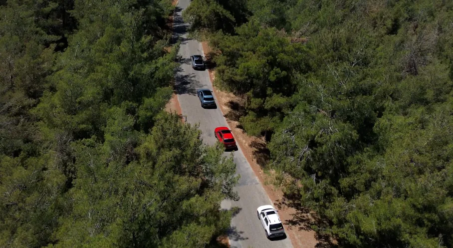 Hyundai'den Çevreye Büyük Yatırım: IONIQ Ormanı ile 1 Milyon Ağaç Dikildi!