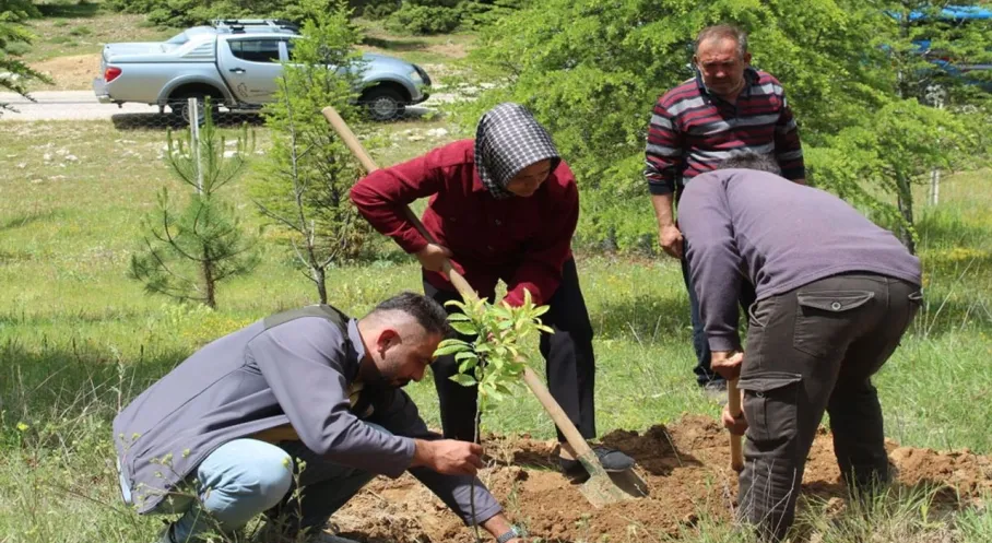 İbradı'da Şehitler Anısına Fidan Dikimi: Toprağa Vefa, Geleceğe Umut!