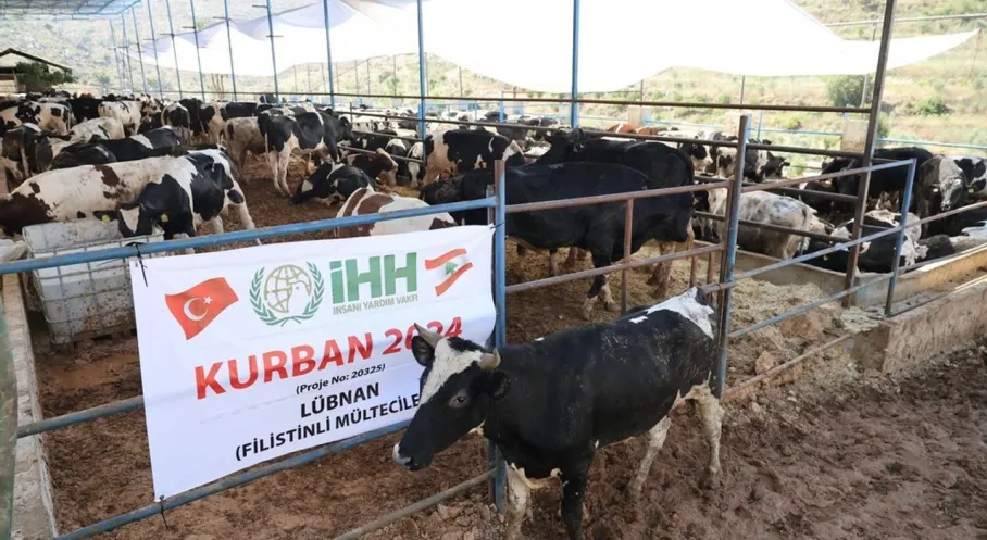 İHH'dan Kurban Bayramı Hamlesi: 60 Ülkeye Yardım Eli!