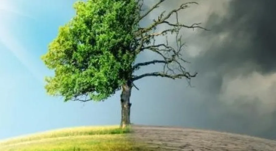 İklim Değişikliği Türkiye'de Göçü Tetikliyor: Kırsaldan Kentlere Büyük Hareketlilik!