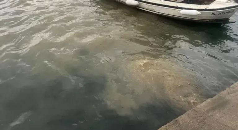 İstanbul Büyükşehir Belediyesi'ne İSKİ Genel Müdürlüğü'ne Çevre Bakanlığı'ndan Sert Ceza!