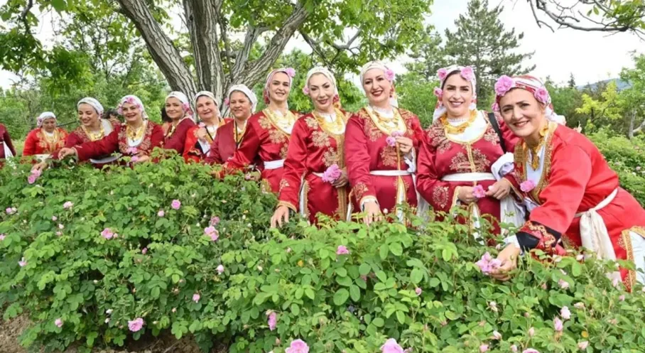 Isparta'da Gül Festivali Coşkusu: Misafirler Gül Hasadına Katıldı!