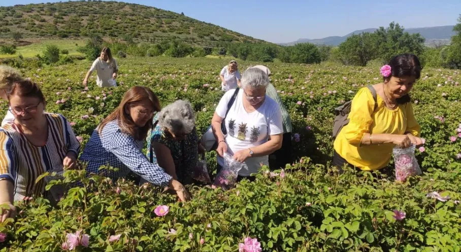 Isparta'da Gül Turizmi Patlaması! Rekor Ziyaretçi Bekleniyor