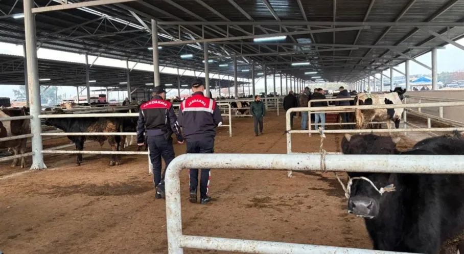 Isparta'da Jandarmadan Besicilere Kurban Bayramı Uyarısı: Hırsızlara Karşı Önlem Alın!
