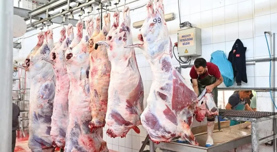 Isparta'da Kurban Bayramı Coşkusu: Mezbahada 250 Büyükbaş Kesildi!