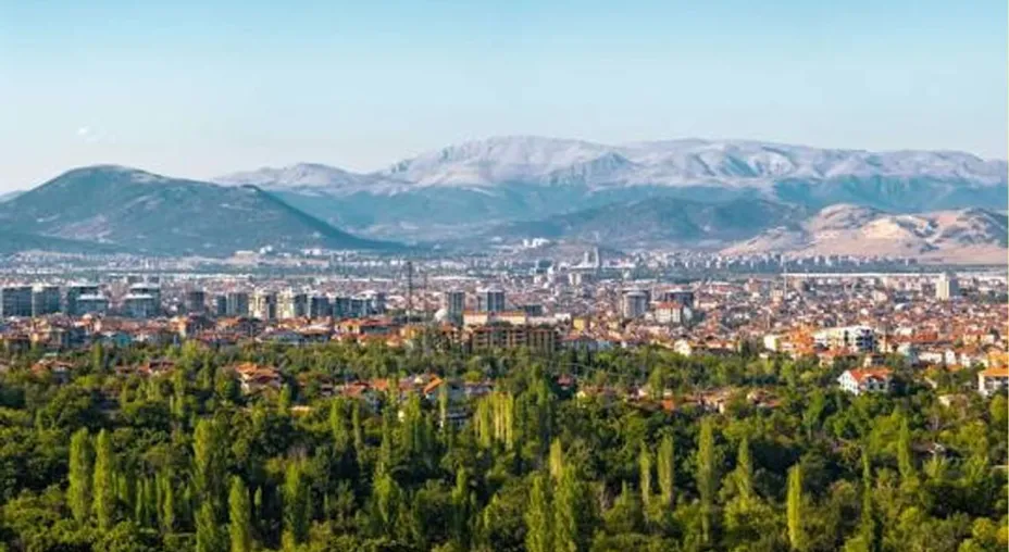 Isparta'dan Filistin'e Destek: Caddeye 'Filistin' Adı Veriliyor!