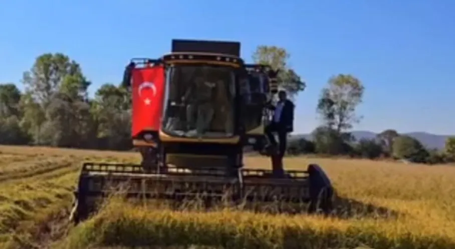 İstanbul Tarımında Dev Hamle: %75 Hibe Destekli Tohum ve Fide Projesi Başladı!