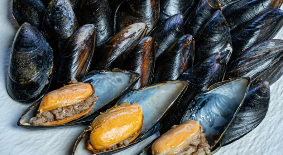 İstanbul'da Midye Faciası: Ölüm Sayısı Arttı, Gözaltılar Var!