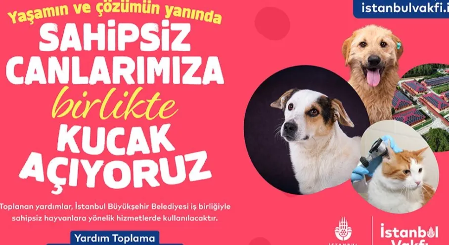 İstanbul'dan Can Dostlara Umut Eli: Vakıf'tan Destek Çağrısı!