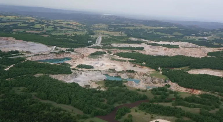 Istranca Ormanları Ekolojik Krizle Karşı Karşıya!