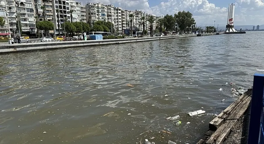 İzmir Körfezi Alarm Veriyor: Kirlilik Tehlikesi Devam Ediyor!