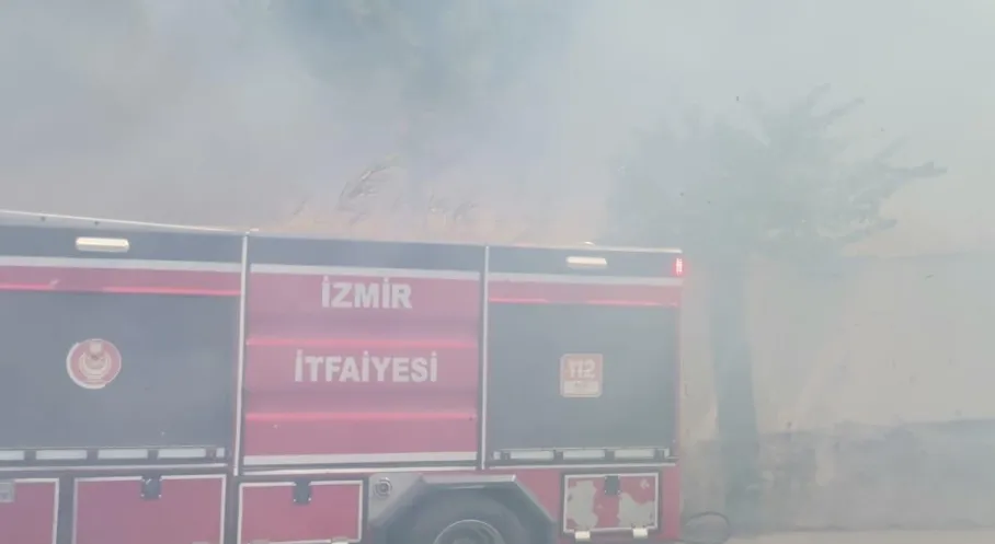 İzmir'de Alarm! Yangınlar ve Fırtına Hayatı Felç Etti!