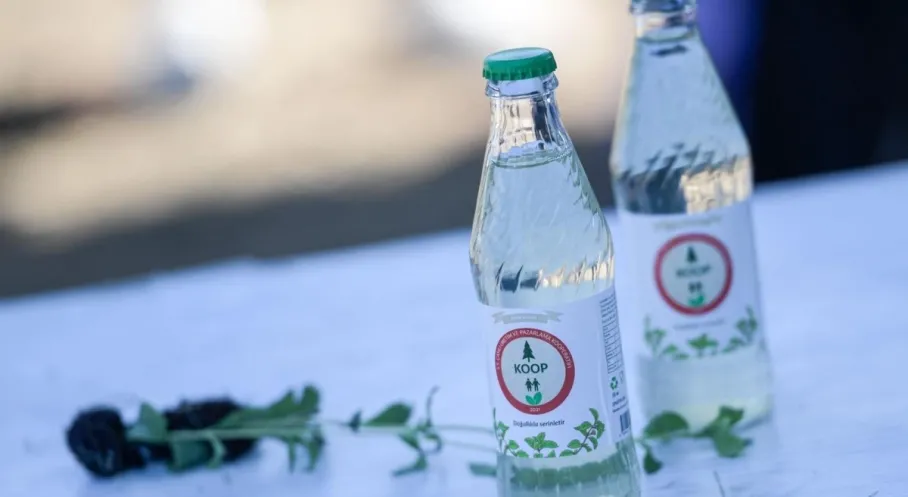 İzmir'den Devrim: Şekersiz Stevia Gazozu Üretildi! İşte Detaylar