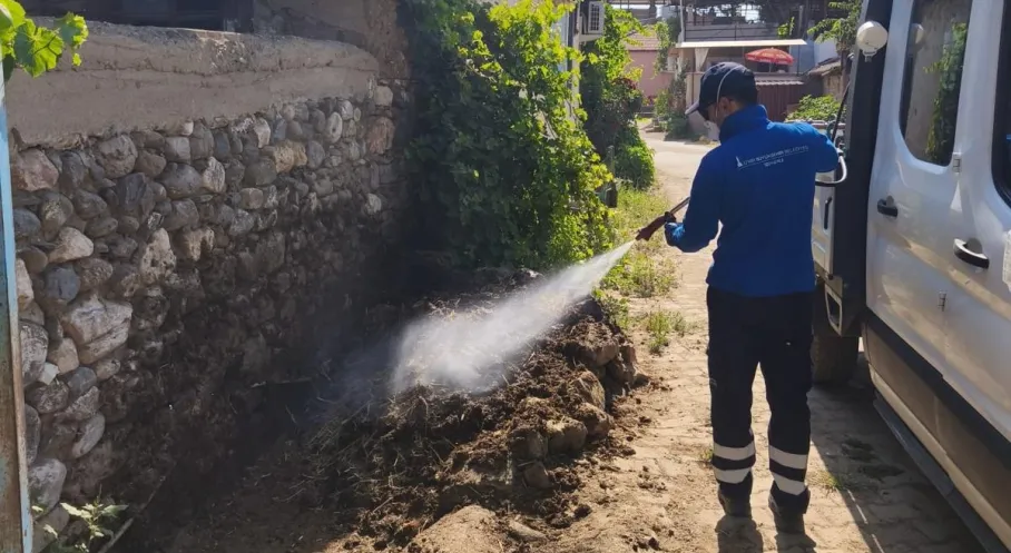 İzmir'de Sivrisinek ve Haşere Alarmı: Büyükşehir 30 İlçede Seferber Oldu!