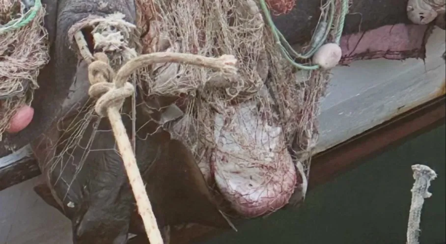 İzmir'de Su Ürünleri Denetimleri: Yasak Avlananlara Ceza Yağdı!