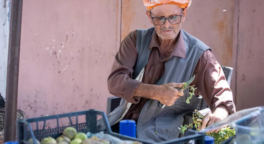 İzmir'den Beydağ İncirine Değer Katacak Destek! Kerevetler Dağıtıldı