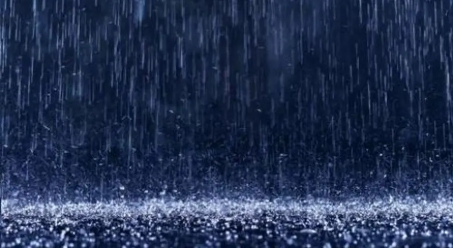 İzmir'e Müjde! Barajlar Yükselişe Geçti: İşte Son Doluluk Oranları ve Kesintiler Devam Edecek mi?