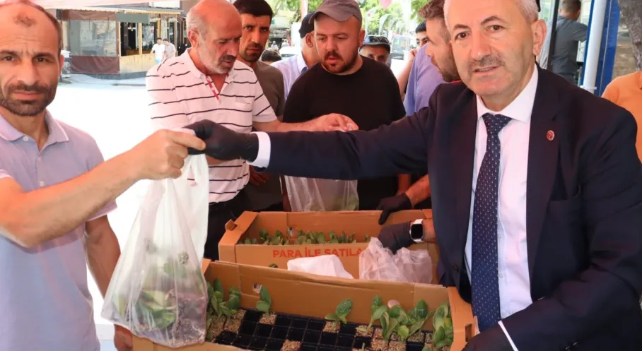 İzmit Belediyesi'nden Vatandaşlara Can Suyu: Ücretsiz Fide Desteği Başladı!