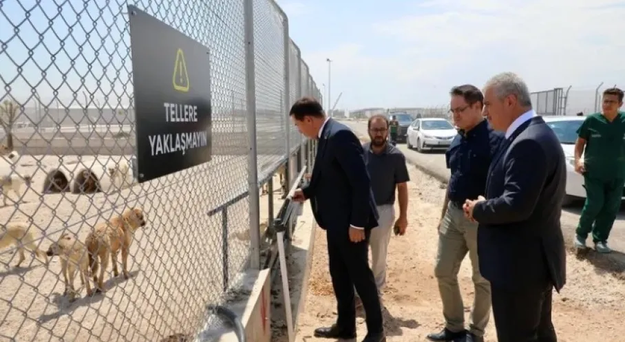 Karatay'dan Örnek Proje: Hayvan Bakımevi ve Doğal Yaşam Alanı Açıldı!