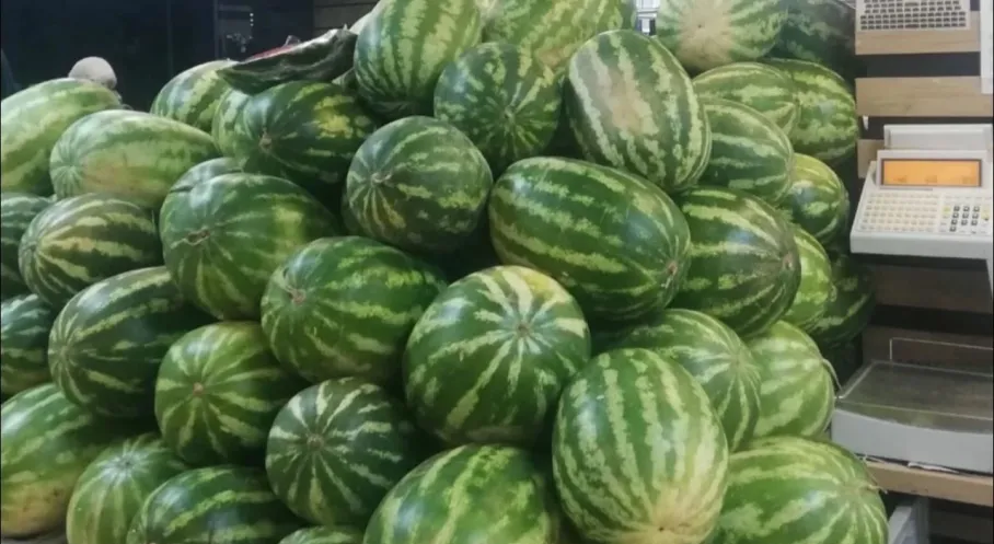 Karpuz Şoku! Üreticiden Markete Fiyat Farkı %600'e Ulaştı!