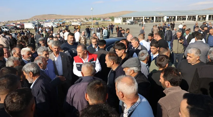 Kars Hayvan Pazarı Yeniden Açıldı! Şap Hastalığı Sonrası Müjde!
