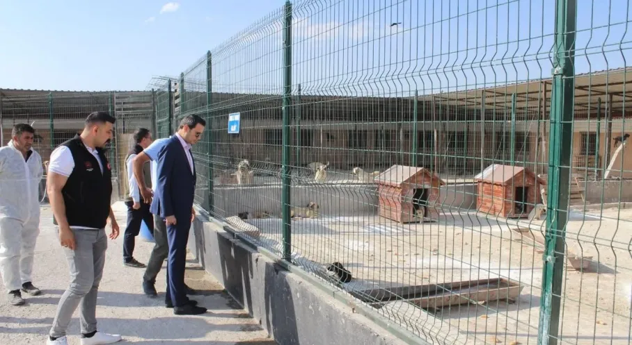 Kars Selim'de Kaymakam Semiz'den Hayvan Barınağına Anlamlı Ziyaret!