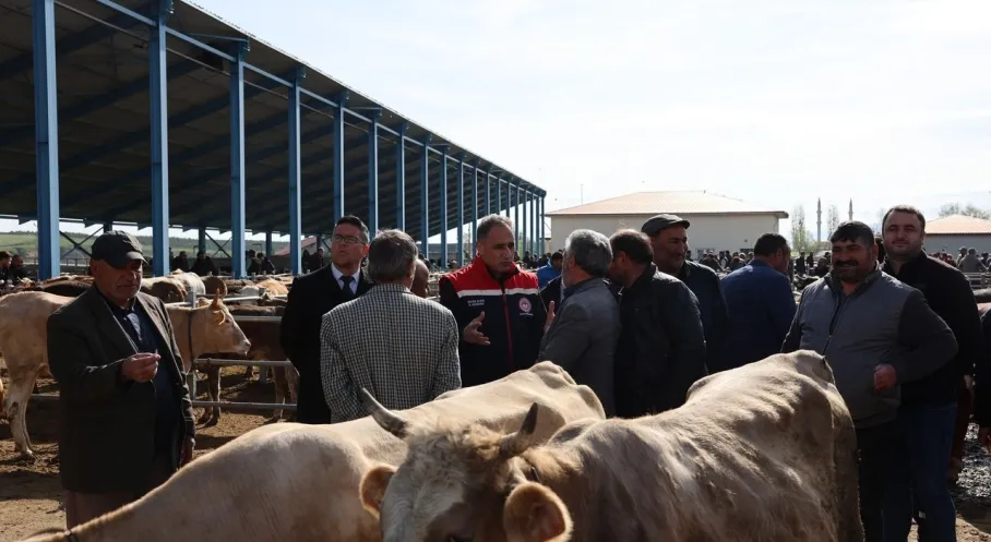 Kars Selim'de Kurban Bayramı Öncesi Hayvan Pazarı Denetimleri Artırıldı!