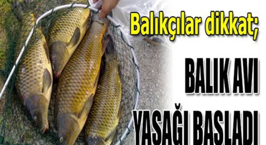 Kars'ta Balık Avı Yasağı Başladı! İşte Detaylar ve Cezalar